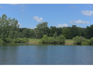 Pond on a lot in Elkhart County, Indiana - ABSOLUTE 43 RIVER & LAKE LOTS AUCTION - 66+/- ACRES ON 43 LOTS IN ELKHART COUNTY, INDIANA