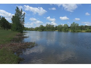 Pond on a lot in Elkhart County, Indiana - ABSOLUTE 43 RIVER & LAKE LOTS AUCTION - 66+/- ACRES ON 43 LOTS IN ELKHART COUNTY, INDIANA