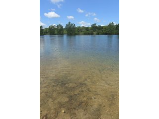 Pond on a lot in Elkhart County, Indiana - ABSOLUTE 43 RIVER & LAKE LOTS AUCTION - 66+/- ACRES ON 43 LOTS IN ELKHART COUNTY, INDIANA