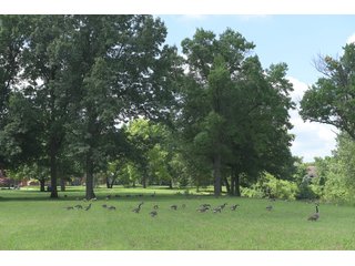 Land Lot in Elkhart County, Indiana - ABSOLUTE 43 RIVER & LAKE LOTS AUCTION - 66+/- ACRES ON 43 LOTS IN ELKHART COUNTY, INDIANA