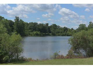 Pond on a lot in Elkhart County, Indiana - ABSOLUTE 43 RIVER & LAKE LOTS AUCTION - 66+/- ACRES ON 43 LOTS IN ELKHART COUNTY, INDIANA
