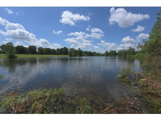 Pond on a lot in Elkhart County, Indiana - ABSOLUTE 43 RIVER & LAKE LOTS AUCTION - 66+/- ACRES ON 43 LOTS IN ELKHART COUNTY, INDIANA