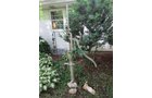Property photo 24 - PERSONAL PROPERTY AUCTION IN ALLEN COUNTY, INDIANA