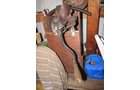 Property photo 112 - PERSONAL PROPERTY AUCTION IN ALLEN COUNTY, INDIANA