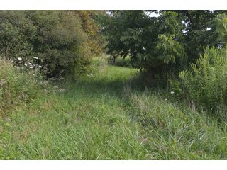 Dekalb County, Indiana Farmland - FARM AUCTION - 4 BEDROOM HOME, BUILDINGS, 70+/- ACRES OFFERED IN 5 TRACTS IN DEKALB COUNTY, INDIANA