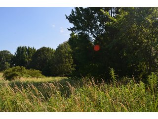 Dekalb County, Indiana Farmland - FARM AUCTION - 4 BEDROOM HOME, BUILDINGS, 70+/- ACRES OFFERED IN 5 TRACTS IN DEKALB COUNTY, INDIANA