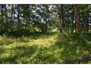 Dekalb County, Indiana Farmland - FARM AUCTION - 4 BEDROOM HOME, BUILDINGS, 70+/- ACRES OFFERED IN 5 TRACTS IN DEKALB COUNTY, INDIANA