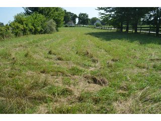 Dekalb County, Indiana Farmland - FARM AUCTION - 4 BEDROOM HOME, BUILDINGS, 70+/- ACRES OFFERED IN 5 TRACTS IN DEKALB COUNTY, INDIANA