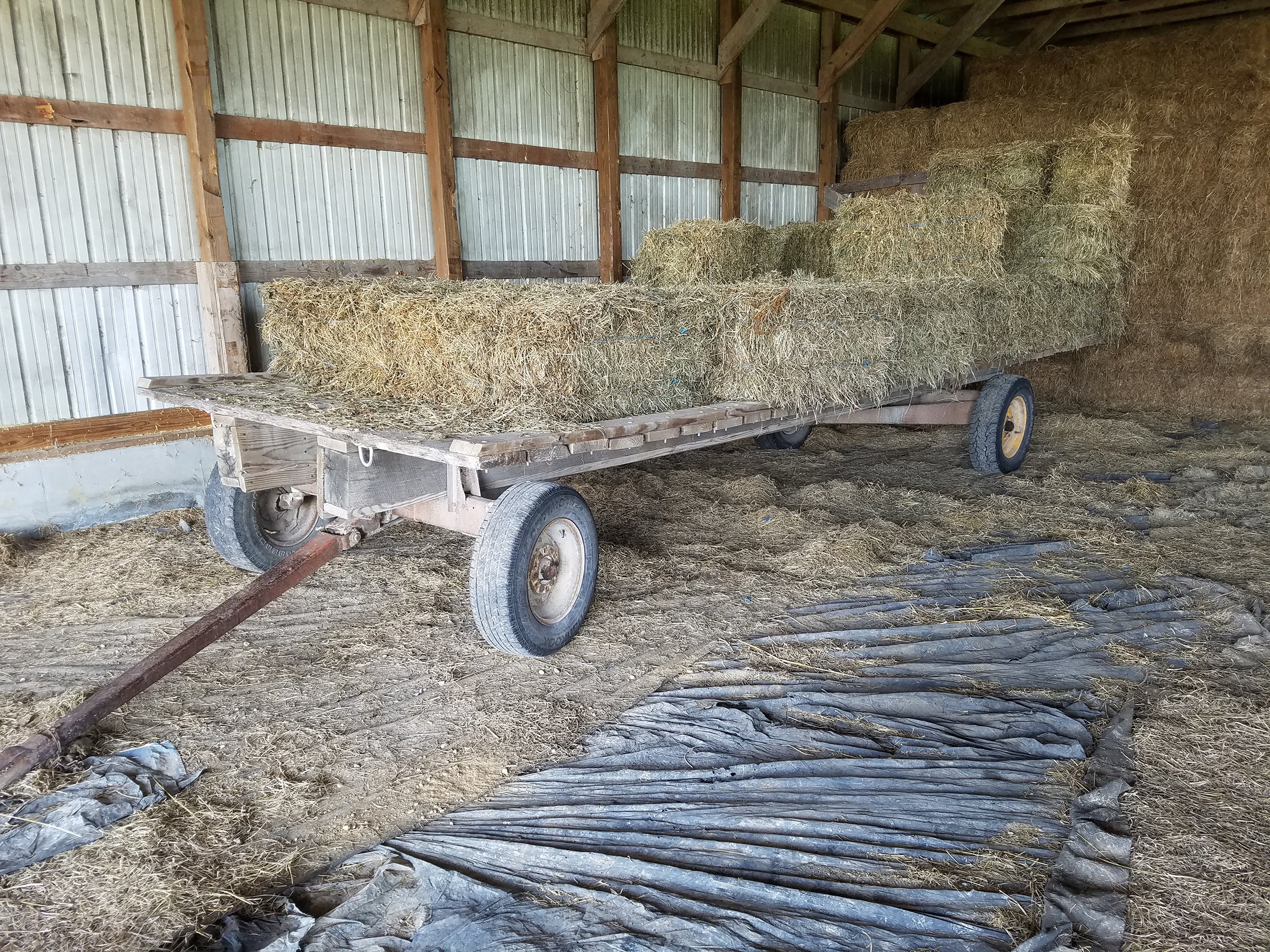 Property photo 18 - ABSOLUTE EQUIPMENT AUCTION IN MERCER COUNTY, KENTUCKY