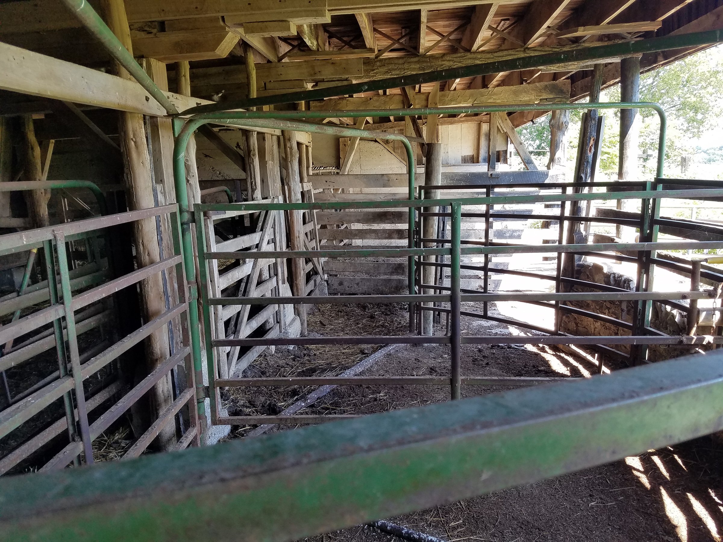 Property photo 28 - ABSOLUTE EQUIPMENT AUCTION IN MERCER COUNTY, KENTUCKY