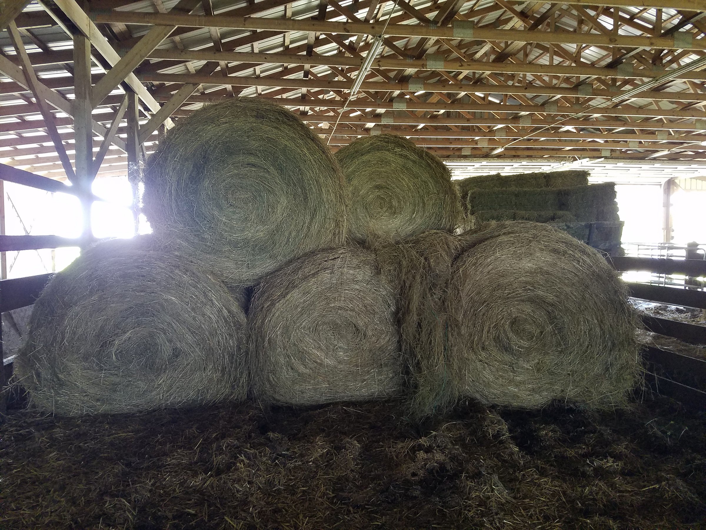 Property photo 25 - ABSOLUTE EQUIPMENT AUCTION IN MERCER COUNTY, KENTUCKY