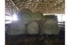 Property photo 25 - ABSOLUTE EQUIPMENT AUCTION IN MERCER COUNTY, KENTUCKY