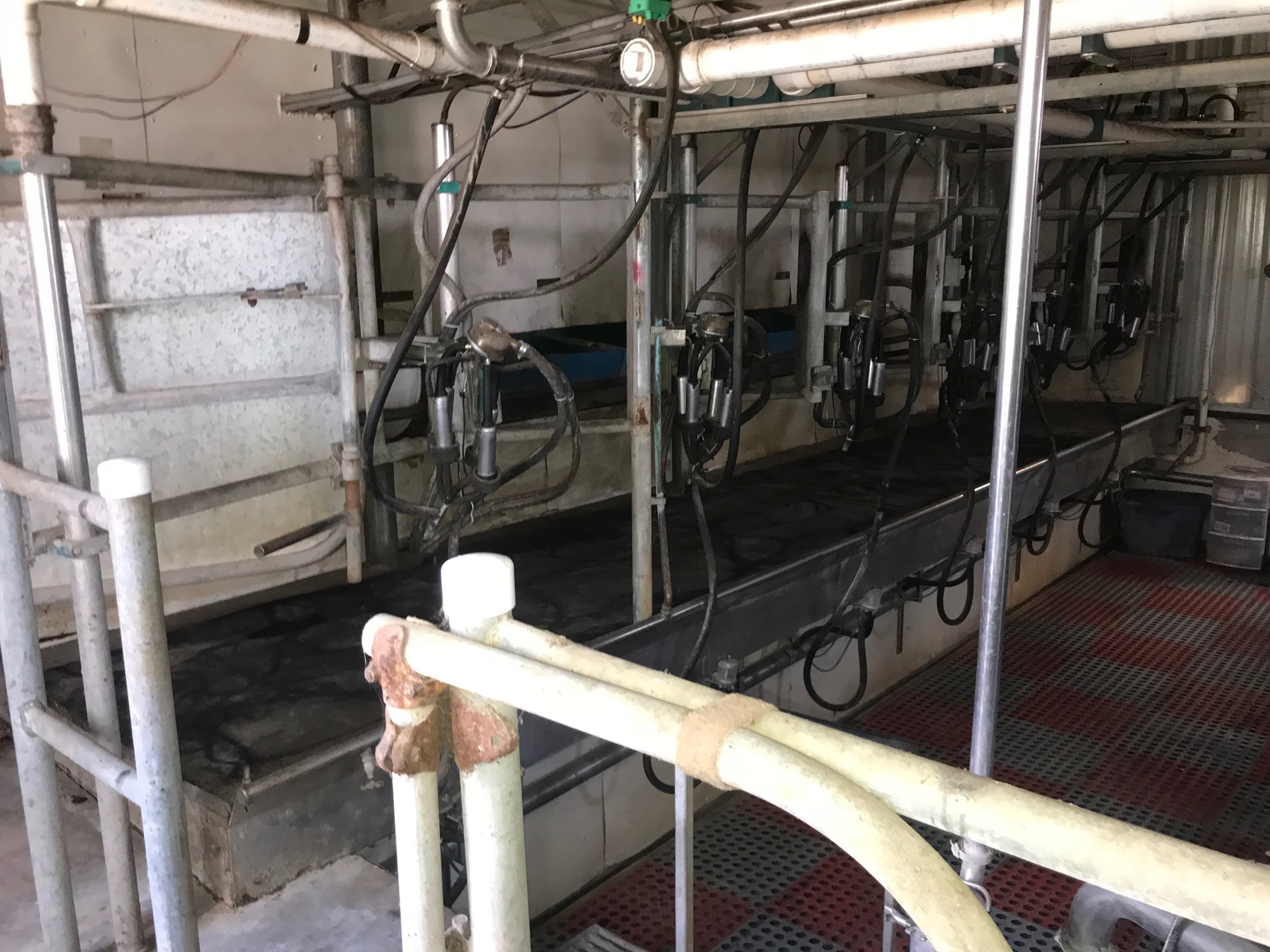 Property photo 9 - FARM & DAIRY EQUIPMENT AUCTION IN STEUBEN COUNTY, INDIANA