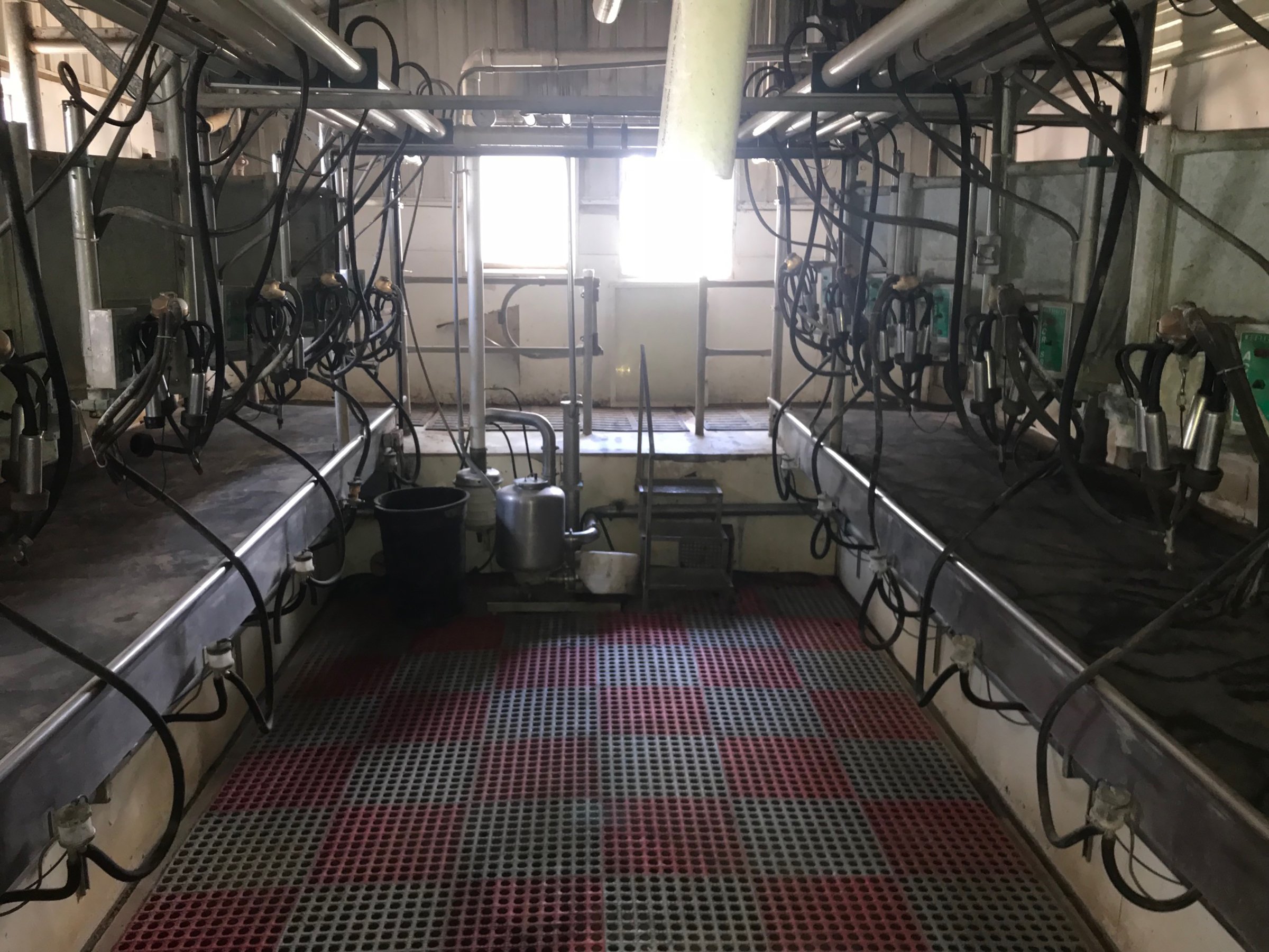Property photo 10 - FARM & DAIRY EQUIPMENT AUCTION IN STEUBEN COUNTY, INDIANA