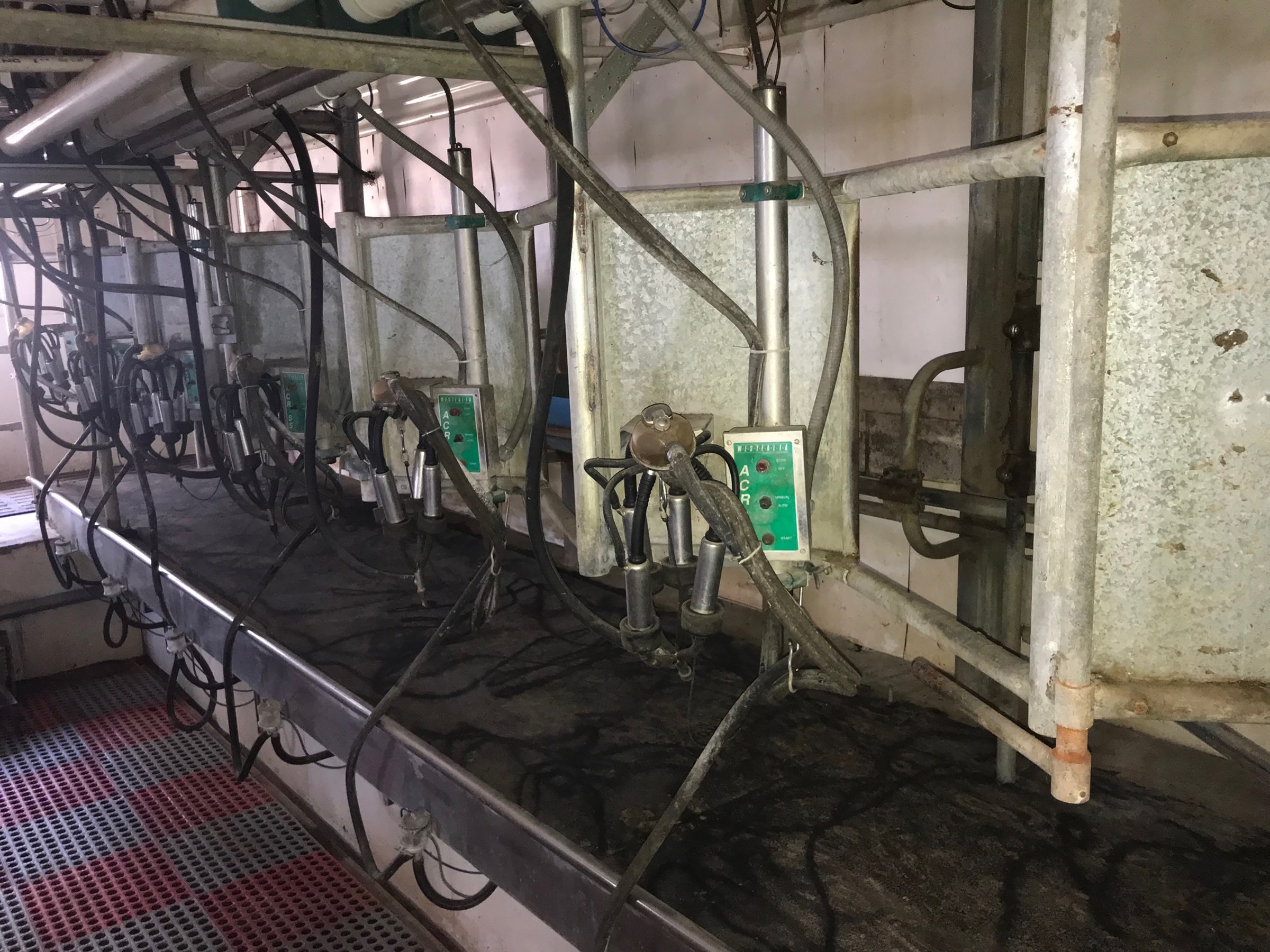 Property photo 16 - FARM & DAIRY EQUIPMENT AUCTION IN STEUBEN COUNTY, INDIANA