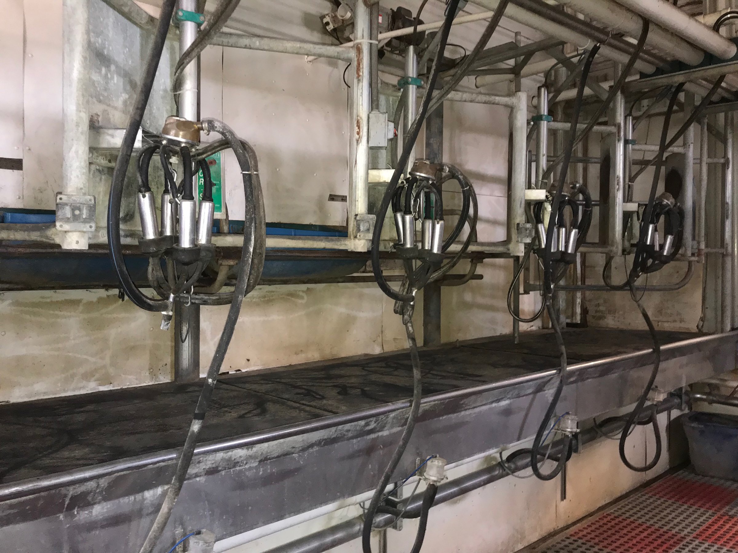 Property photo 11 - FARM & DAIRY EQUIPMENT AUCTION IN STEUBEN COUNTY, INDIANA
