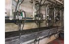 Property photo 11 - FARM & DAIRY EQUIPMENT AUCTION IN STEUBEN COUNTY, INDIANA