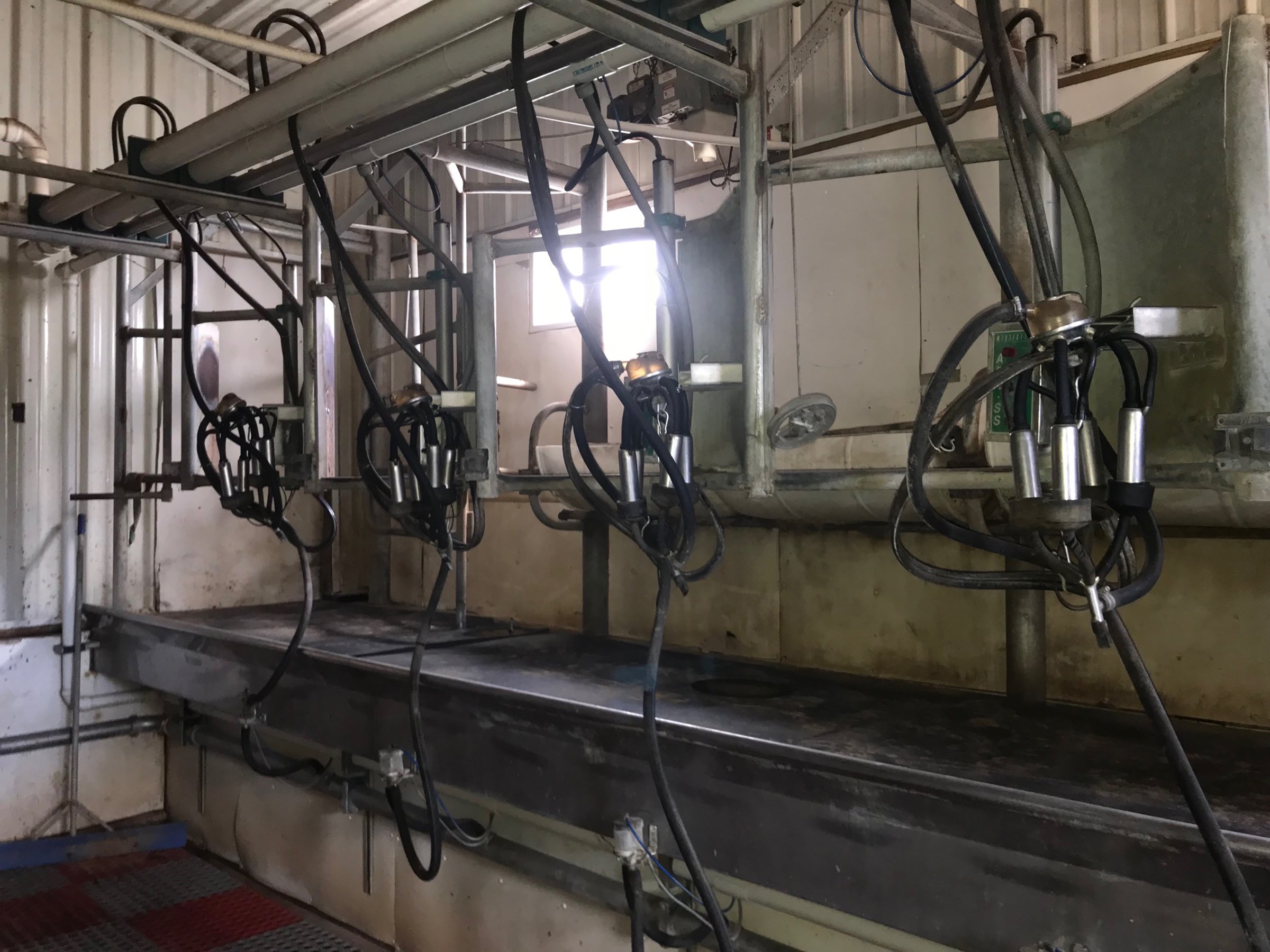 Property photo 19 - FARM & DAIRY EQUIPMENT AUCTION IN STEUBEN COUNTY, INDIANA