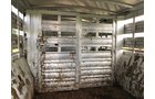 Property photo 36 - FARM & DAIRY EQUIPMENT AUCTION IN STEUBEN COUNTY, INDIANA