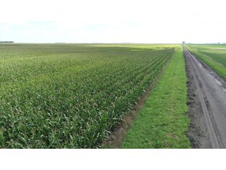Steele County, North Dakota farmland - LAND AUCTION - 480+/- ACRES IN 3 TRACTS IN STEELE COUNTY, NORTH DAKOTA