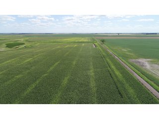 Steele County, North Dakota farmland - LAND AUCTION - 480+/- ACRES IN 3 TRACTS IN STEELE COUNTY, NORTH DAKOTA