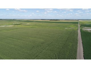 Steele County, North Dakota farmland - LAND AUCTION - 480+/- ACRES IN 3 TRACTS IN STEELE COUNTY, NORTH DAKOTA