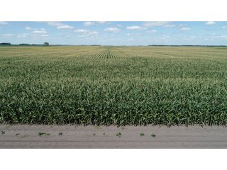 Steele County, North Dakota farmland - LAND AUCTION - 480+/- ACRES IN 3 TRACTS IN STEELE COUNTY, NORTH DAKOTA
