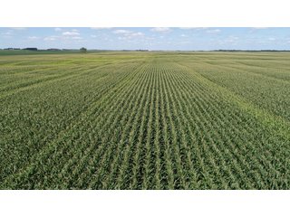 Steele County, North Dakota farmland - LAND AUCTION - 480+/- ACRES IN 3 TRACTS IN STEELE COUNTY, NORTH DAKOTA