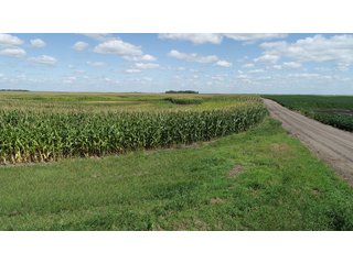 Steele County, North Dakota farmland - LAND AUCTION - 480+/- ACRES IN 3 TRACTS IN STEELE COUNTY, NORTH DAKOTA