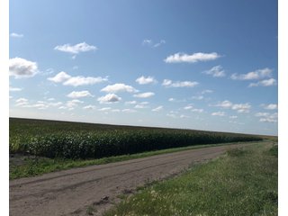 Steele County, North Dakota farmland - LAND AUCTION - 480+/- ACRES IN 3 TRACTS IN STEELE COUNTY, NORTH DAKOTA