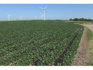 Bureau County, Illinois farmland - Tract 2 - LAND AND WIND RIGHTS AUCTION - 337+/- ACRES IN 4 TRACTS IN BUREAU COUNTY, ILLINOIS
