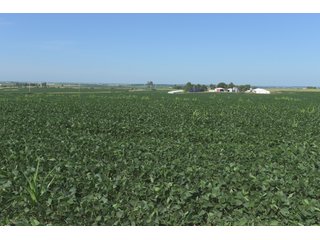 Bureau County, Illinois farmland - Tract 2 - LAND AND WIND RIGHTS AUCTION - 337+/- ACRES IN 4 TRACTS IN BUREAU COUNTY, ILLINOIS