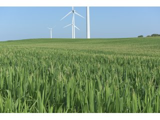 Bureau County, Illinois farmland - LAND AND WIND RIGHTS AUCTION - 337+/- ACRES IN 4 TRACTS IN BUREAU COUNTY, ILLINOIS