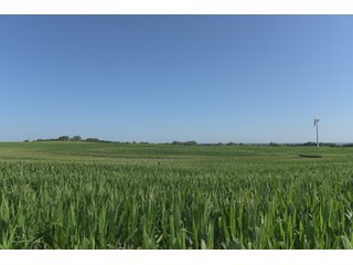 Bureau County, Illinois farmland - LAND AND WIND RIGHTS AUCTION - 337+/- ACRES IN 4 TRACTS IN BUREAU COUNTY, ILLINOIS