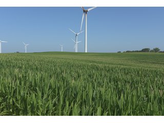 Bureau County, Illinois farmland - LAND AND WIND RIGHTS AUCTION - 337+/- ACRES IN 4 TRACTS IN BUREAU COUNTY, ILLINOIS