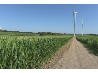 Bureau County, Illinois farmland - Tract 3 - LAND AND WIND RIGHTS AUCTION - 337+/- ACRES IN 4 TRACTS IN BUREAU COUNTY, ILLINOIS