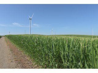 Bureau County, Illinois farmland - Tract 3 - LAND AND WIND RIGHTS AUCTION - 337+/- ACRES IN 4 TRACTS IN BUREAU COUNTY, ILLINOIS