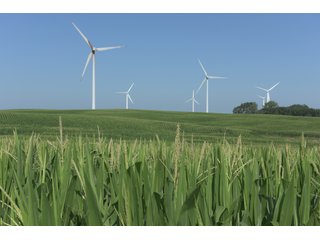 Bureau County, Illinois farmland - Tract 3 - LAND AND WIND RIGHTS AUCTION - 337+/- ACRES IN 4 TRACTS IN BUREAU COUNTY, ILLINOIS