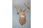 Property photo 85 - PERSONAL PROPERTY AUCTION & REAL ESTATE AUCTION ON 2 DATES IN EAST ALLEN COUNTY, INDIANA
