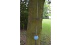 Property photo 92 - PERSONAL PROPERTY AUCTION & REAL ESTATE AUCTION ON 2 DATES IN EAST ALLEN COUNTY, INDIANA