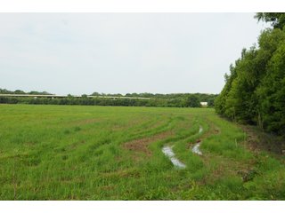 Farmland in Pulaski County, Arkansas - ABSOLUTE ARKANSAS REAL ESTATE AUCTION - 1,200+/- ACRES OFFERED IN 6 TRACTS IN PULASKI COUNTY, ARKANSAS