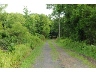 Farmland in Pulaski County, Arkansas - ABSOLUTE ARKANSAS REAL ESTATE AUCTION - 1,200+/- ACRES OFFERED IN 6 TRACTS IN PULASKI COUNTY, ARKANSAS
