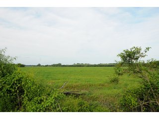 Farmland in Pulaski County, Arkansas - ABSOLUTE ARKANSAS REAL ESTATE AUCTION - 1,200+/- ACRES OFFERED IN 6 TRACTS IN PULASKI COUNTY, ARKANSAS