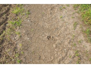 Farmland in Pulaski County, Arkansas - ABSOLUTE ARKANSAS REAL ESTATE AUCTION - 1,200+/- ACRES OFFERED IN 6 TRACTS IN PULASKI COUNTY, ARKANSAS