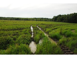 Farmland in Pulaski County, Arkansas - ABSOLUTE ARKANSAS REAL ESTATE AUCTION - 1,200+/- ACRES OFFERED IN 6 TRACTS IN PULASKI COUNTY, ARKANSAS