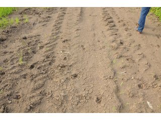 Farmland in Pulaski County, Arkansas - ABSOLUTE ARKANSAS REAL ESTATE AUCTION - 1,200+/- ACRES OFFERED IN 6 TRACTS IN PULASKI COUNTY, ARKANSAS