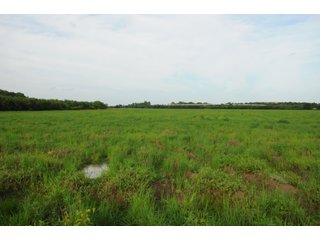 Farmland in Pulaski County, Arkansas - ABSOLUTE ARKANSAS REAL ESTATE AUCTION - 1,200+/- ACRES OFFERED IN 6 TRACTS IN PULASKI COUNTY, ARKANSAS
