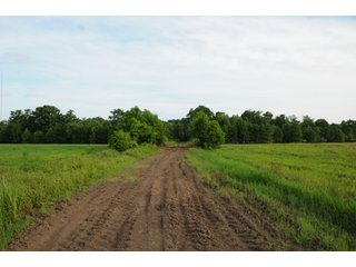 Farmland in Pulaski County, Arkansas - ABSOLUTE ARKANSAS REAL ESTATE AUCTION - 1,200+/- ACRES OFFERED IN 6 TRACTS IN PULASKI COUNTY, ARKANSAS
