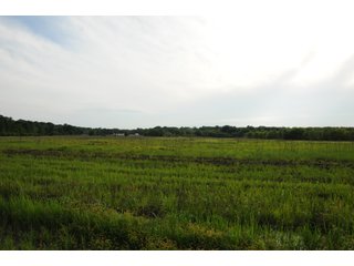 Farmland in Pulaski County, Arkansas - ABSOLUTE ARKANSAS REAL ESTATE AUCTION - 1,200+/- ACRES OFFERED IN 6 TRACTS IN PULASKI COUNTY, ARKANSAS