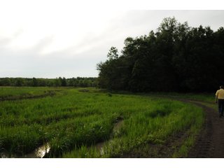 Farmland in Pulaski County, Arkansas - ABSOLUTE ARKANSAS REAL ESTATE AUCTION - 1,200+/- ACRES OFFERED IN 6 TRACTS IN PULASKI COUNTY, ARKANSAS